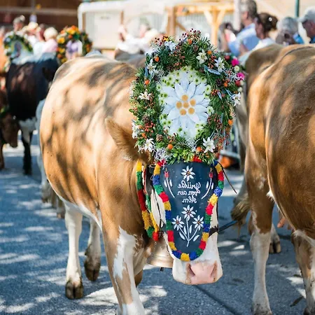 In With Swimming Pool And Views * Wald im Pinzgau