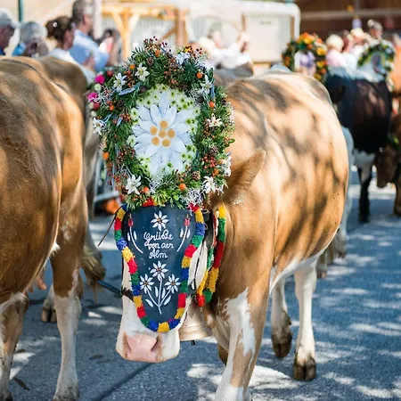 アパート In With Swimming Pool And Views ヴァルト・イム・ピンツガウ